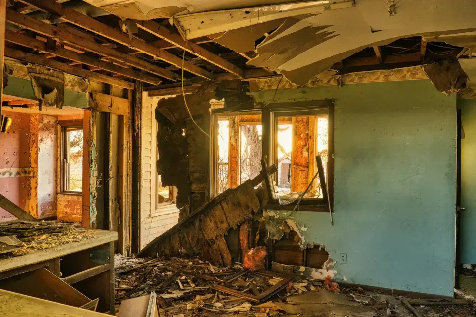 The Drysafe Mold Removal Story: Protecting Homes & Health