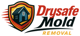 Drysafe Mold Removal